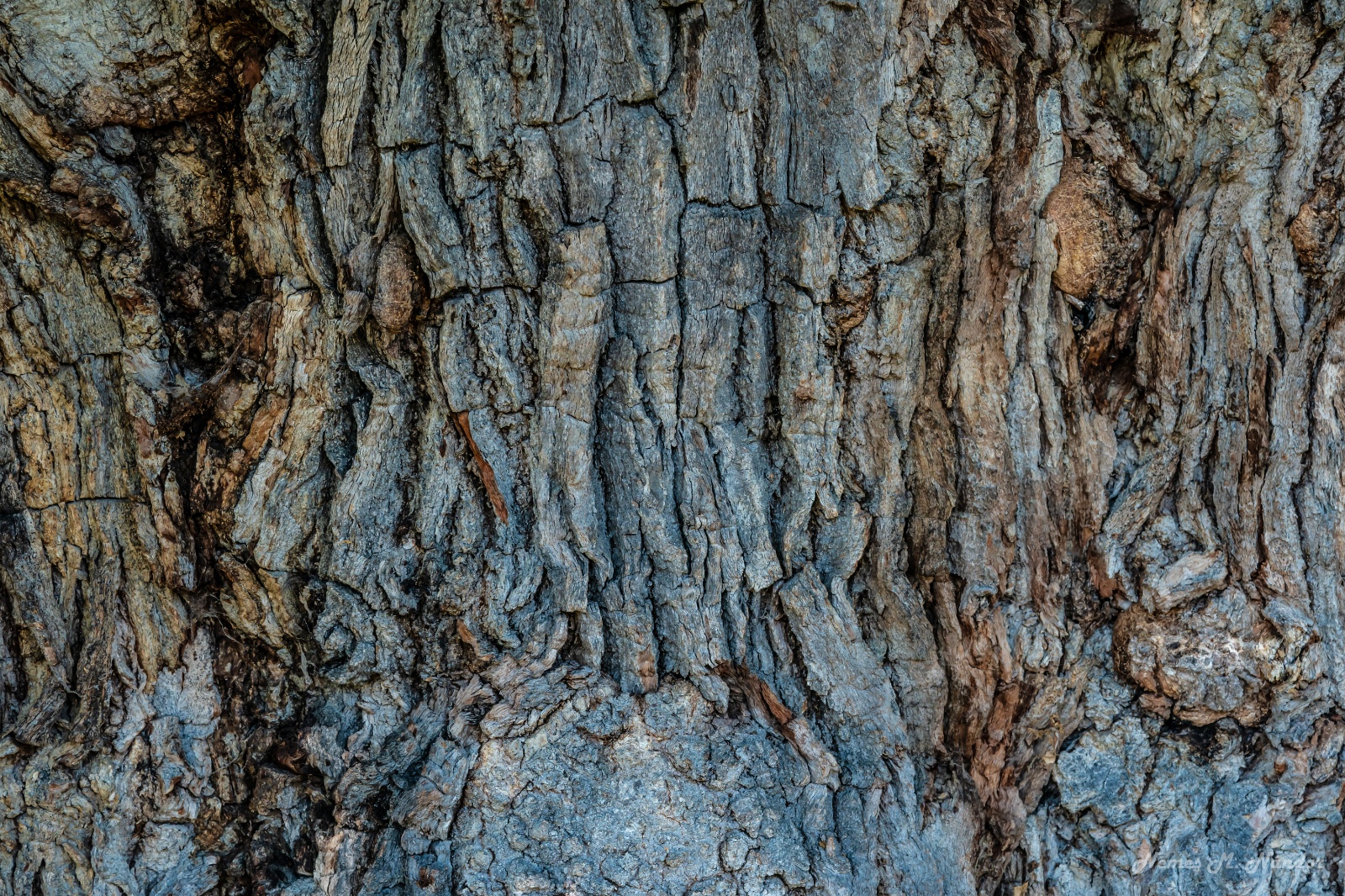 Online Photography Courses